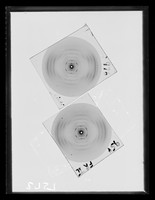 view X-ray diffraction exposure of sodium (Na) salt A-type DNA referenced as "F976 Na A Liver; F954 Na A Brown FRII"