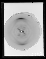 view X-ray diffraction exposure of sodium (Na) salt B-type DNA referenced as "F210 Na B"