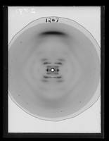 view X-ray diffraction exposure of lithium (Li) salt B-type DNA referenced as "F1267 Li B [relative humidity] 92%"