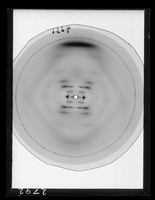 view X-ray diffraction exposure of lithium (Li) salt B-type DNA referenced as "F1234 Li B [relative humidity] 92%"