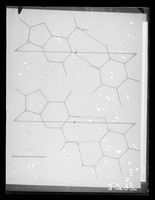 view Diagram referenced as "The stereochemistry of DNA . Part 2. Fig 3"