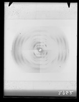 view Composite image of x-ray diffraction exposures of DNA from difference sources. Referenced as "Sources- pl 7. X-ray photographs. Plates from DNA from many sources"