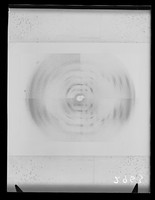 view Composite image of x-ray diffraction exposures of DNA from difference sources. Referenced as "Sources- pl 2. X-ray photographs. Plates from DNA from many sources"