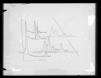 view Histogram measuring x-ray diffraction exposures of DNA from different sources. Referenced as "Sources- pl 5. X-ray photographs. Plates from DNA from many sources"