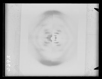 view Composite image of x-ray diffraction exposures of DNA from difference sources. Referenced as "Sources- pl 3. X-ray photographs. Plates from DNA from many sources"