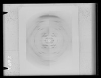 view Composite image of x-ray diffraction exposures of DNA from difference sources. Referenced as "Sources- pl 4. X-ray photographs. Plates from DNA from many sources"