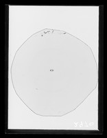 view X-ray diffraction exposure referenced as "Film No 892 lipid"