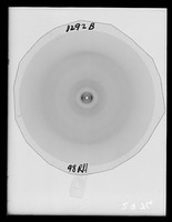 view X-ray diffraction exposure of B-type DNA referenced as "Film No 1292 B. Best recombined [relative humidtiy 98%]"
