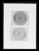 view X-ray diffraction exposures of DNA referenced as "F1350 Bond Fλ [lambda] 3LD 101. F1348 Bond Fλ [lambda] 3LD 75, 76"