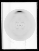 view X-ray diffraction exposure of C-type DNA referenced as "F1279 Hex. [hexagonal lattice] C."