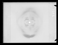 view Composite image of x-ray diffraction exposures of DNA referenced as "Hex. [hexagonal lattice] C + Ortho [orthorhombic lattice] C"