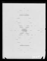 view Optical transform of DNA referenced as "Optical transform B25"