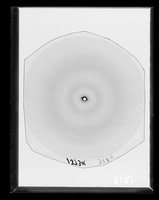 view X-ray diffraction exposure of nucleohistone referenced as "Nucleohistone 32% [relative humidity] 1373"