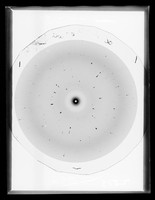 view X-ray diffraction exposure of erythrocyte nuclei referenced as "Wet erythrocyte nuclei"