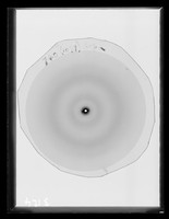 view X-ray diffraction exposure of nucleohistone referenced as "Nucleohistone dry 740"