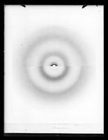 view Composite image of x-ray diffraction exposures of histone and nucleohistone referenced as "Histone and nucleohistone x-ray rings"