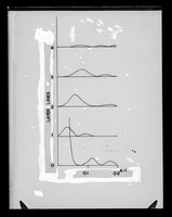 view Histogram relating to DNA referenced as "DNA Lysine 2 Transform"