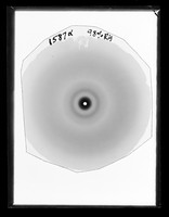 view X-ray diffraction exposure referenced as "505 Microsonal particle. 98% R.H. [relative humidity] 1587"