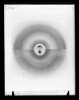 view Composite image of x-ray diffraction exposures of nucleohistone referenced as "I + II nucleohistone sheet"