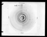 view Composite of x-ray diffraction exposures of RNA and DNA referenced as "RNA unoriented DNA composite print"