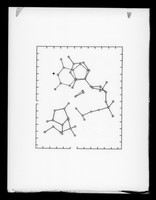 view Diagram relating to the molecular arrangement of RNA referenced as "RNA 5 projections no parameters"