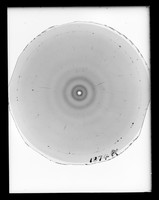 view X-ray diffraction exposure of RNA referenced as "Soluble RNA 1874 Α [alpha] 92% [relative humidity]"