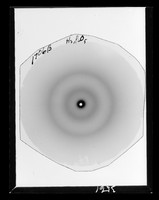 view X-ray diffraction exposure referenced as "Microsomal protein 1706 B"