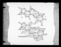 view Diagram relating to the structure of DNA in Donohue base pairs referenced as "Donohue pairs"