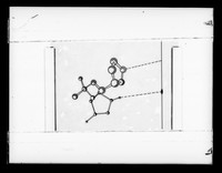 view Diagram relating to C-type DNA referenced as "C Paper stereoscopic view of C nucleotide"