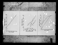 view Graph referenced as "Psittacosis viruses"