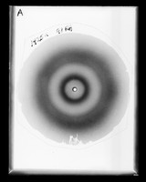 view X-ray diffraction exposure referenced as "Histone diffraction A"