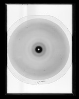 view X-ray diffraction exposure of RNA referenced as "Cox Li RNA 92% [relative humidity] 2232"