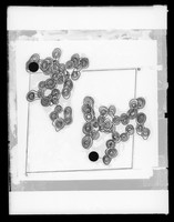 view Diagram of an electron-density map referenced as "Juinal 3-D E.D. distribution of epi-limonol iodoacetate"