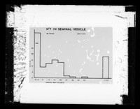 view Graph referenced as "Low rate in seminal vesicle"