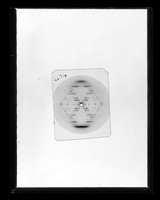 view X-ray diffraction exposure of lithium (Li) salt B-type DNA referenced as "Li DNA B pattern"