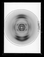 view X-ray diffraction exposure of RNA referenced as "RNA. Good pattern. Film 3125"