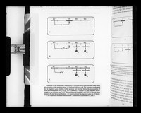 view Copy of a printed diagram referenced as "Schematic of the mechanism in a normal cell"