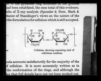 view Diagram referenced as "Cellulose showing repeating unit of cellobiase residues"