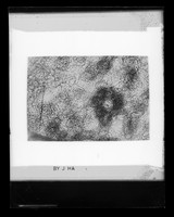 view Fourier map of myoglobin referenced as "Myoglobin Fourier"