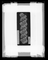 view Photographic image of "Long A DNA model"