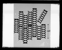 view Diagram referenced as "Spencer et al paper C Fig 6"