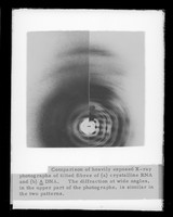 view Captioned comparison image of x-ray diffraction exposures of RNA and A DNA referenced as "Spencer et al paper G Fig 3"