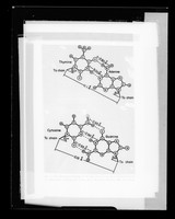 view Molecular diagram referenced as "DNA base pairs. Bio-Physics lectures"