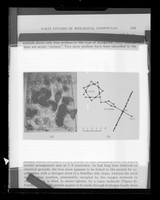 view Comparison of a molecular map and haemoglobin diagram referenced as "Fingerprints. Haemoglobin A + A2"