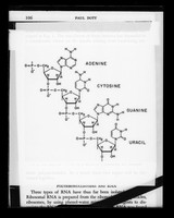 view Diagram referenced as "DNA chain"