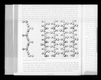 view Copy of a printed diagram referenced as "Parallel chain/Pleated sheet"