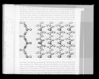 view Copy of a printed diagram referenced as "Antiparallel chain structure. Pleated sheet"