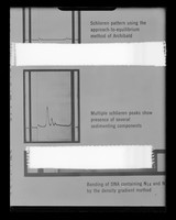 view Copy of a printed graph referenced as "Sedimentation. Schlieren photograph showing multiple components"