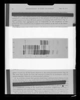 view Copy of a printed image referenced as "Starch gel electrophoresis of ribosomal proteins (Waller)"