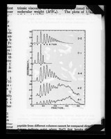 view Copy of a printed graph referenced as "Ion exchange chromatography of polyglutamic acid pepsin hydrolysate (Millar)"